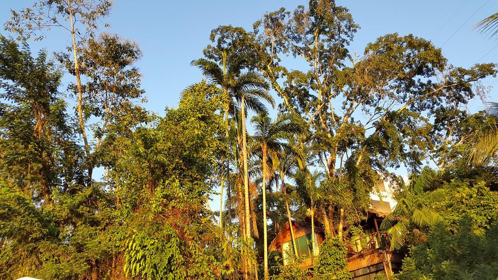 Wasai Puerto Maldonado Eco Lodge Exteriér fotografie